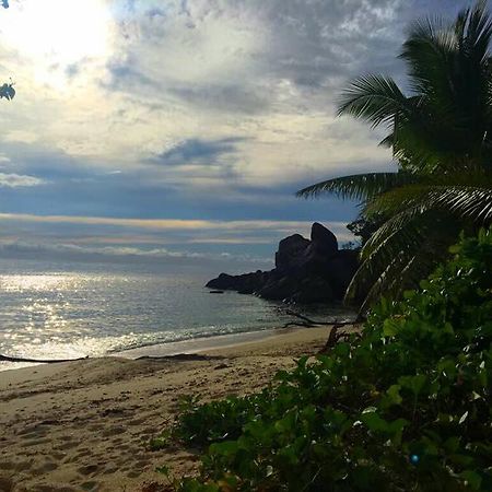 วิลลา ดู โวยาจเจอร์ Apartment Grand Anse  ภายนอก รูปภาพ