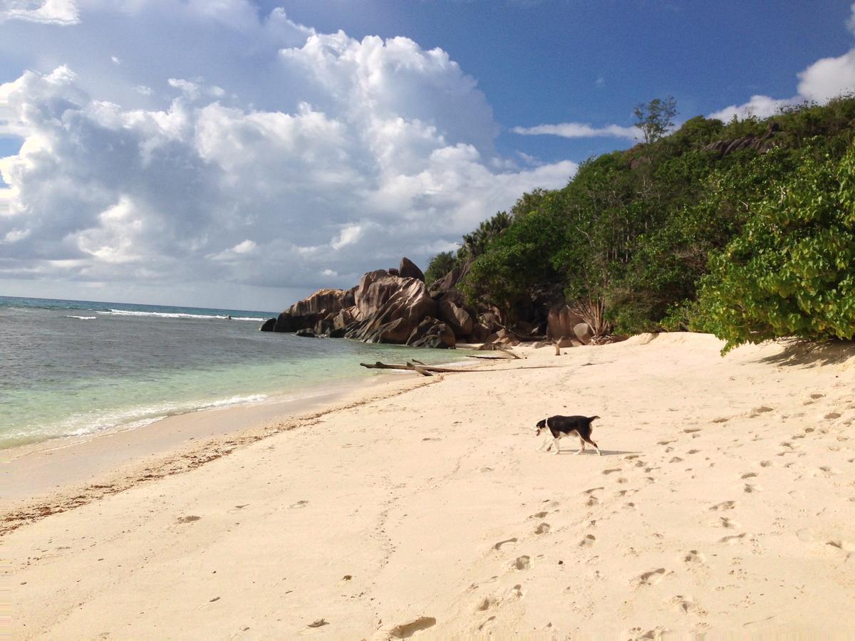วิลลา ดู โวยาจเจอร์ Apartment Grand Anse  ภายนอก รูปภาพ