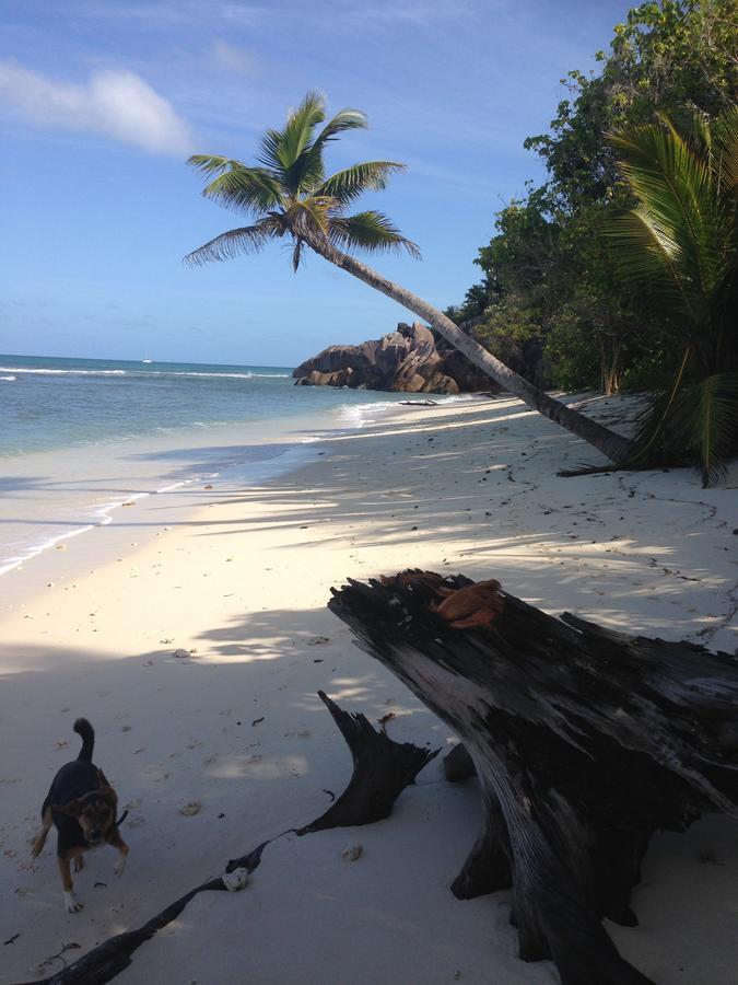วิลลา ดู โวยาจเจอร์ Apartment Grand Anse  ภายนอก รูปภาพ